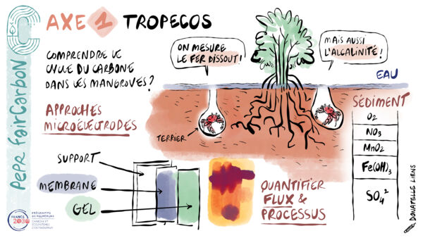 TROPECOS dessin VF